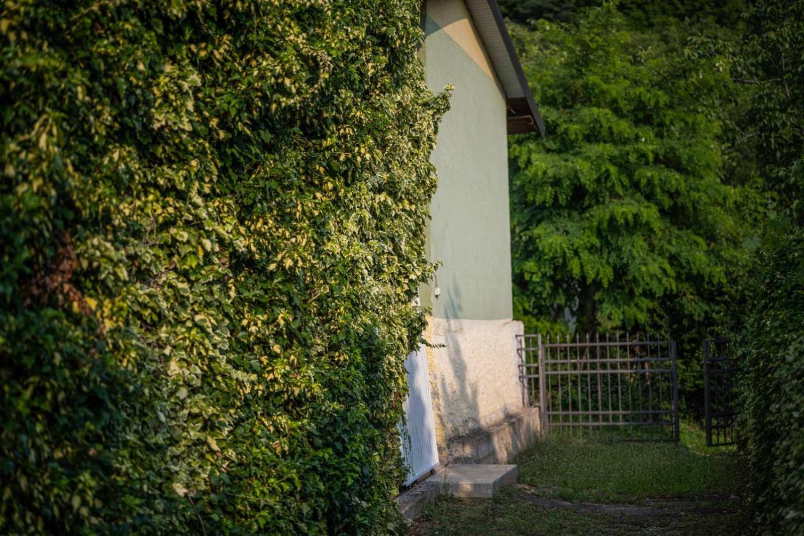 Vacation Home Rot โอครีด ภายนอก รูปภาพ